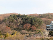 PXL_20260323_073258935