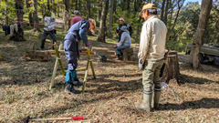 PXL_20251114_013800870