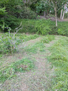 PXL_20260505_090920357