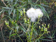 DSCN9829