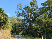 PXL_20260824_061750718