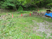 PXL_20260508_025048104