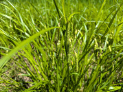 PXL_20260510_014117007