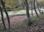 PXL_20251117_235829185