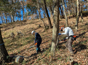 PXL_20251216_012936035