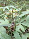 PXL_20260523_035936606