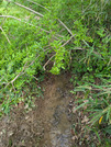 PXL_20260425_003732935
