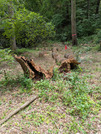 PXL_20260606_012715958