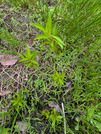PXL_20260430_075630718