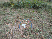 PXL_20251113_022626792