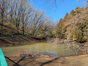 PXL_20260304_012709048