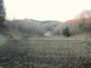 DSCN1194