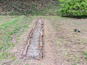 PXL_20260417_033012357