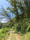 PXL_20260731_023458942
