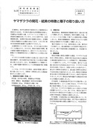 ヤマザクラの開花・結実の特徴と種子の取り扱い方_1