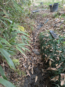 PXL_20260325_033949168