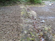 DSC09795