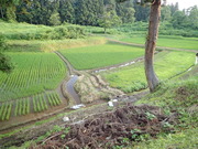 P6170154