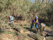 PXL_20260109_015722958