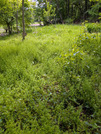 PXL_20260425_021323577