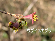 PXL_20260301_024446933