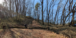 PXL_20260111_013430998