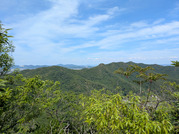 PXL_20260617_045852443