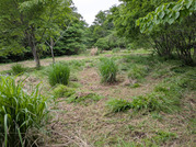 PXL_20260506_075702602