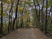 PXL_20251117_234016212