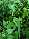 PXL_20260806_033143282