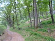DSCN0219