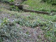 PXL_20260824_074613417
