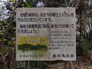 PXL_20260119_053828794