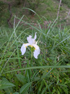 PXL_20260509_093251861