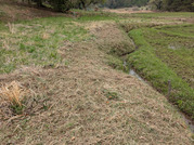 PXL_20260407_041717686