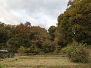 PXL_20251117_235930883