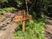 PXL_20260428_031617695
