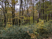 PXL_20251117_232548517