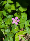 PXL_20260509_022657039