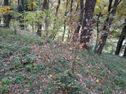 PXL_20251117_234931289