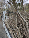 PXL_20260404_030600238