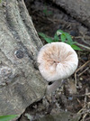 PXL_20260715_081156156