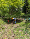 PXL_20260515_023755742