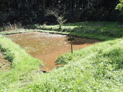 P4150047