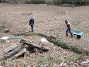 PXL_20260125_021711639