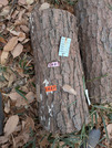 PXL_20260217_021638115