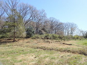 P3250006