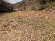 PXL_20260228_030829663