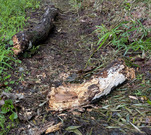 PXL_20260627_022714879