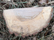 PXL_20260224_074915276